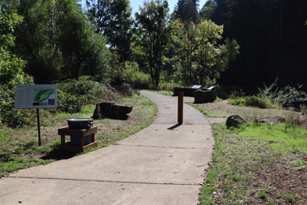 Trailhead from parking lot – Interpretive display about the Willamette meteorite – trash can